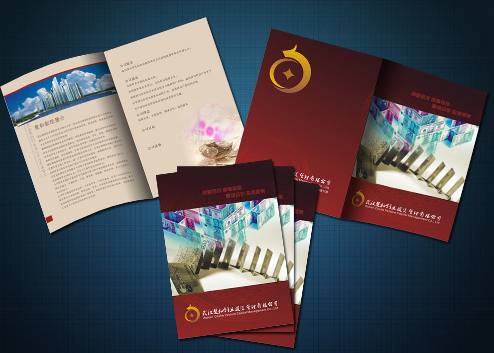 宣傳冊印刷-廣州駿業(yè)包裝實業(yè)有限公司 宣傳冊印刷